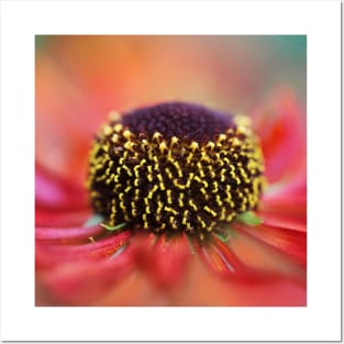 Dreamy Helenium Curls Posters and Art